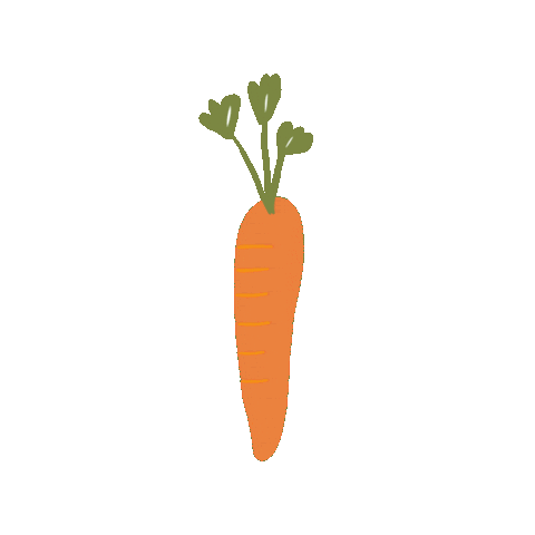 Carrot Sticker by HiPP Organic UK