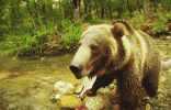 100.gif?cid=20e14a2au3phx6brqtm38hf8jlc6a8c7ft23m9eqx33at2ku&rid=100.gif&ct=g