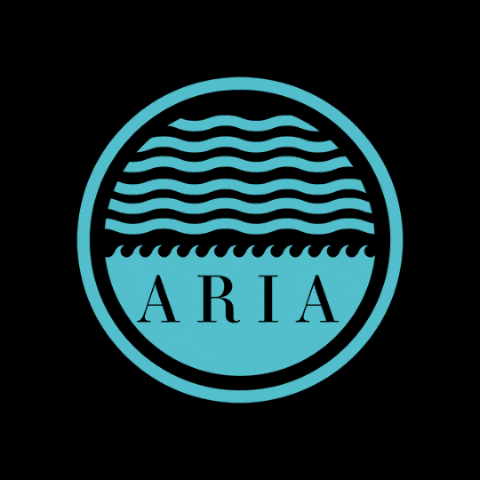 Aria GIF by mediaratz