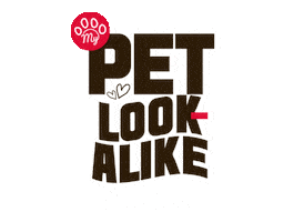 San Luis Cat Sticker by City of San Luis Az