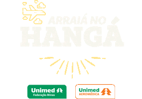 Arraianohangar Sticker by Unimed Federação Minas