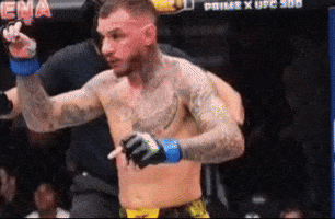 Ufc Renato GIF