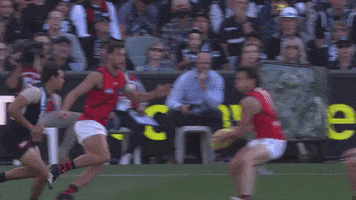 Aussie Rules Power GIF by Port Adelaide FC