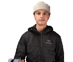 THE HEAT COMPANY Sticker