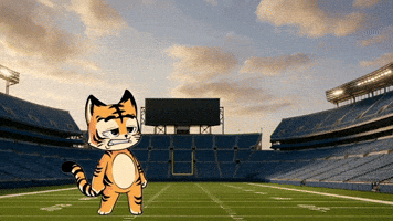 Who Dey Football GIF by Hero Galaxy NFT