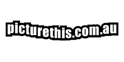 Picture This Flight GIF by Windward Balloon Adventures