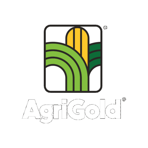 Agriculture Corn Sticker by AgriGold
