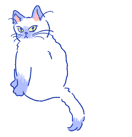 Cat Sticker