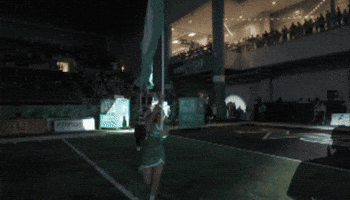 Fighting Hawks Football GIF by University of North Dakota