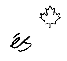 Skateboarding Sticker by éS Canada