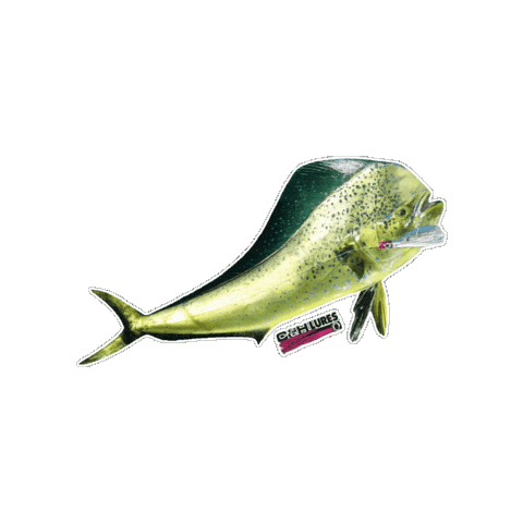 Mahi Mahi Fish Sticker by AFW Fishing Brands