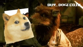 Dogecoin GIF