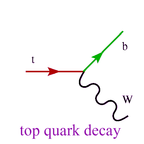 neural networks
