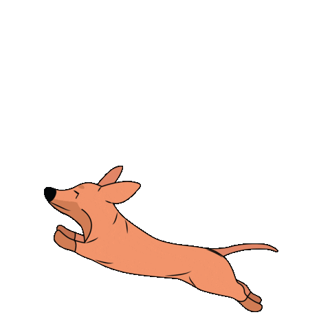 Fun Dog Sticker by pabaconfest