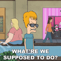 What Do We Do Beavis And Butthead GIF by Paramount+