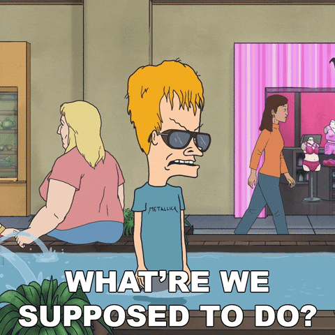 What Do We Do Beavis And Butthead GIF by Paramount+