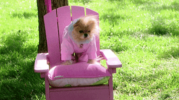 real housewives pink GIF by RealityTVGIFs