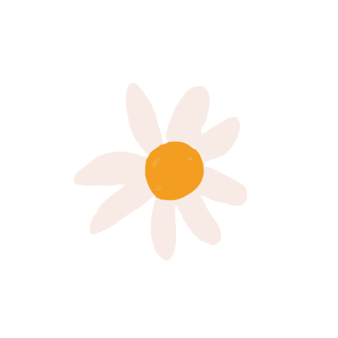 Estudio Brisa Sticker