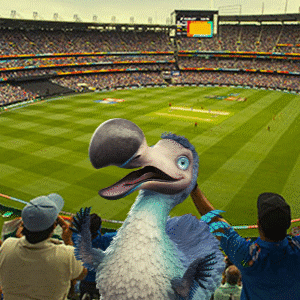 Boxing Day Cricket GIF by Dodo Australia