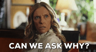 Movie gif. Toni Collette as Joni in Knives Out faces us with an expression of disdain and says, "Can we ask why?"