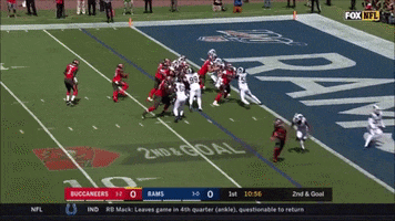 Buccaneers GIF