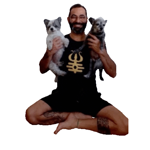 Namaste Felicidade Sticker by Zé Yoga