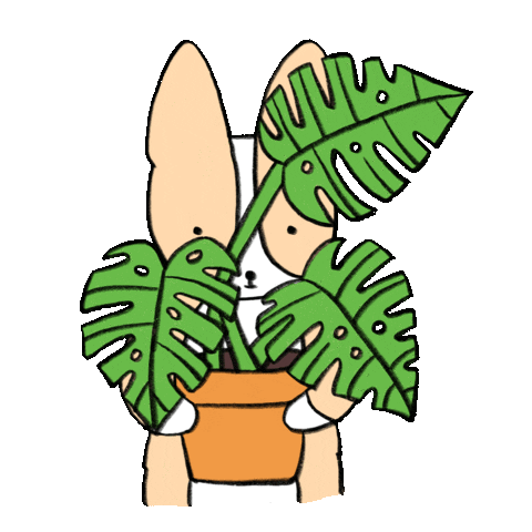 Summer Plant Sticker by Tiffbits