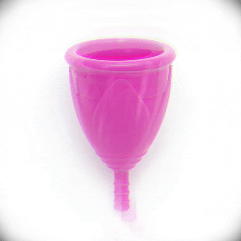berrycup berrycup GIF