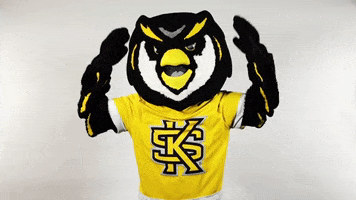 Celebrate Field Goal GIF by Kennesaw State University