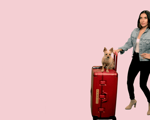 Luggage GIF by Jen Atkin - Find & Share on GIPHY