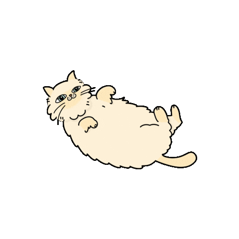 Cats Sticker