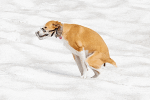 Fotografie GIF by TIRZA photography & visual concepts