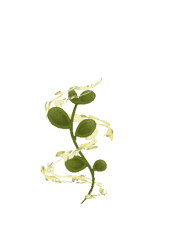 Plant Sticker