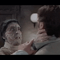 Peter Cushing Horror Movies GIF by absurdnoise