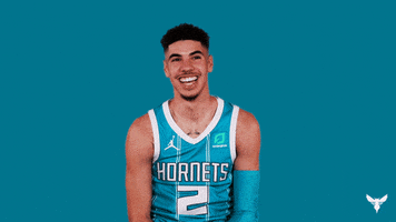 Lamelo Ball Lol GIF by Charlotte Hornets