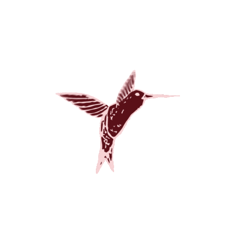 Colibri Sticker by PLACEMATFAB