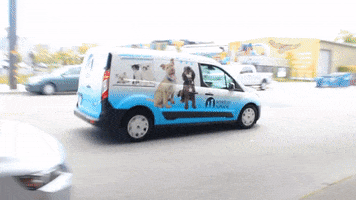 GIF by Berkeley Humane