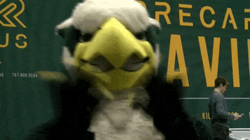 Griffin Kiss GIF by William & Mary Tribe Athletics