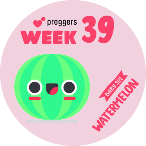 Baby Watermelon Sticker by Preggers