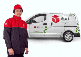 Delivery Ve GIF by DPD France