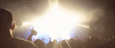 Festival Gsm GIF by LochtFest