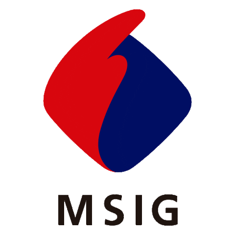 Mitsui Sumitomo Seguros Sticker