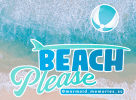 MermaidMemoriesSC beach ocean santa cruz beach ball GIF