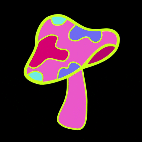 GIVEMEPLUR trippy psychedelic hungry mushroom GIF