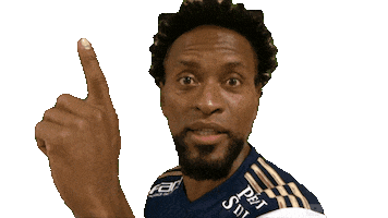 Zé Roberto Sticker