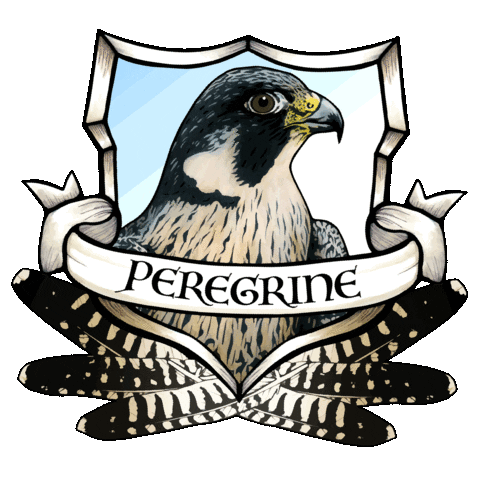 Boise State Honors College Sticker