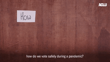 Voting Civic Duty GIF by ACLU