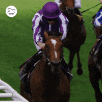 Ascot Racecourse Gif Find Share On Giphy Ascot Racecourse Gif Find Share On Giphy