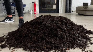 GIF by blackframestudios