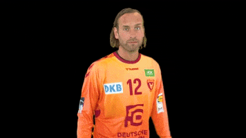 LIQUIMOLY_HBL handball berlin hallo hbl GIF